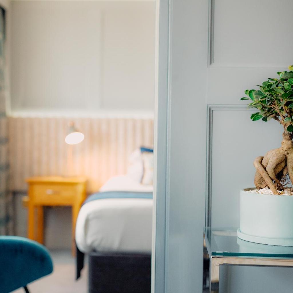 Hotel thumbnail 14